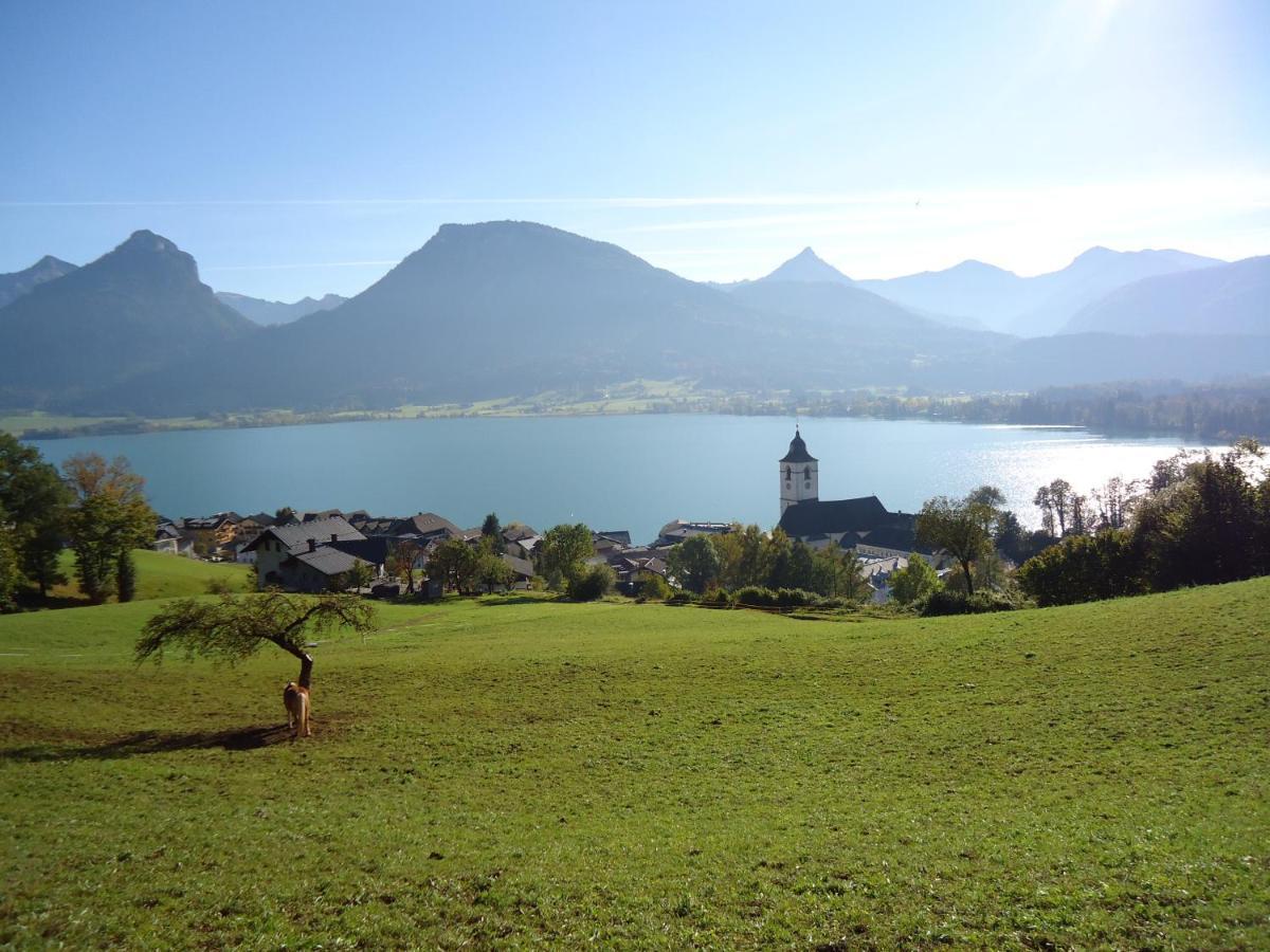 Apartmenthaus WALDHORN Saint Wolfgang Exterior foto